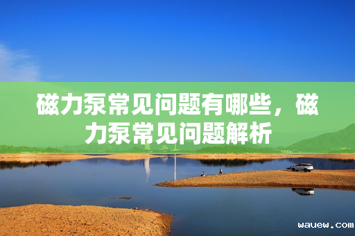 磁力泵常见问题有哪些，磁力泵常见问题解析