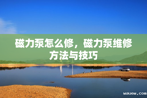 磁力泵怎么修，磁力泵维修方法与技巧