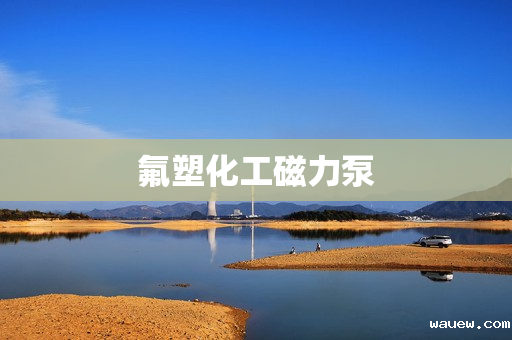 氟塑化工磁力泵