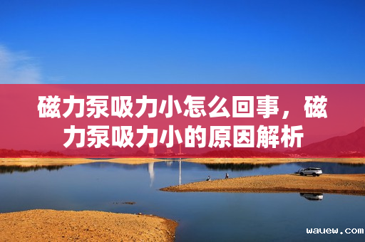 磁力泵吸力小怎么回事，磁力泵吸力小的原因解析