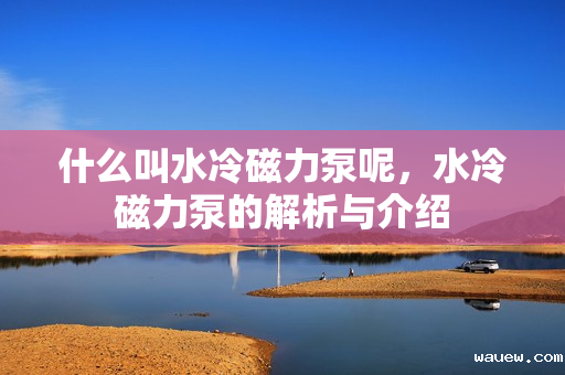 什么叫水冷磁力泵呢，水冷磁力泵的解析与介绍