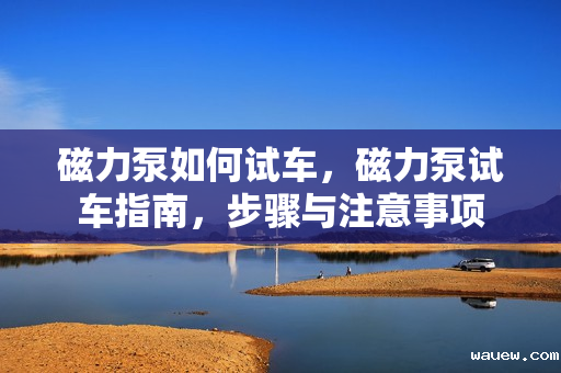 磁力泵如何试车，磁力泵试车指南，步骤与注意事项
