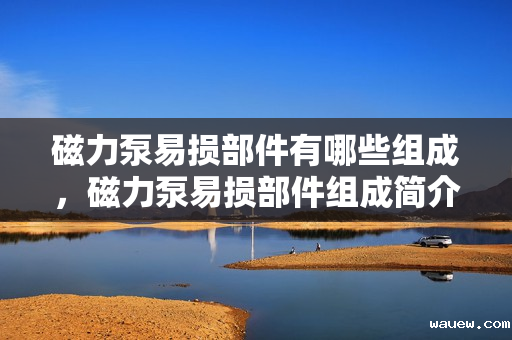 磁力泵易损部件有哪些组成，磁力泵易损部件组成简介