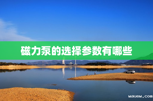 磁力泵的选择参数有哪些