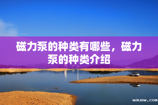 磁力泵的种类有哪些，磁力泵的种类介绍