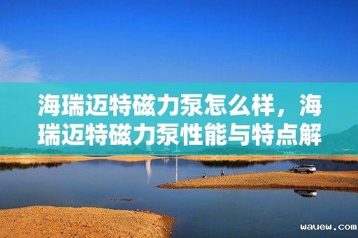海瑞迈特磁力泵怎么样，海瑞迈特磁力泵性能与特点解析