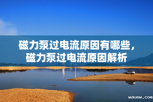 磁力泵过电流原因有哪些，磁力泵过电流原因解析