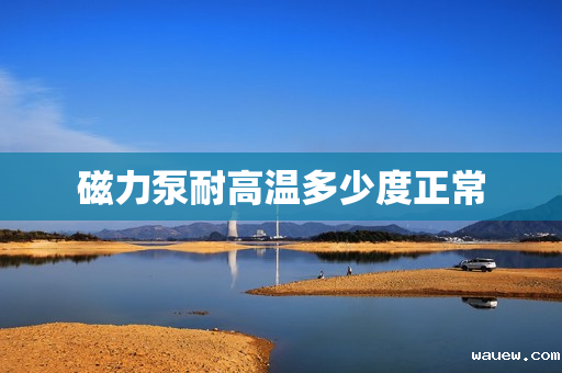 磁力泵耐高温多少度正常