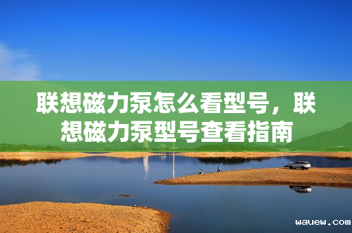 联想磁力泵怎么看型号，联想磁力泵型号查看指南