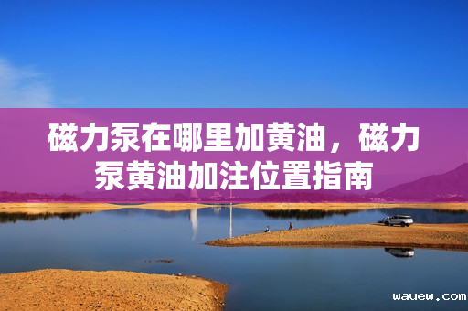 磁力泵在哪里加黄油，磁力泵黄油加注位置指南