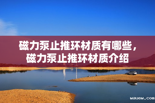 磁力泵止推环材质有哪些，磁力泵止推环材质介绍