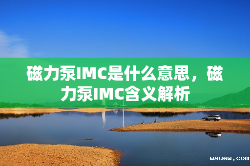 磁力泵IMC是什么意思，磁力泵IMC含义解析
