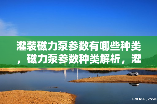 灌装磁力泵参数有哪些种类，磁力泵参数种类解析，灌装磁力泵特性概览