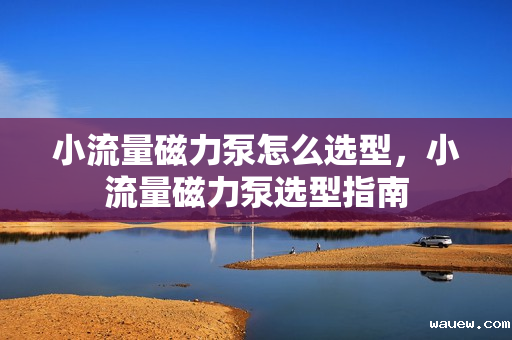 小流量磁力泵怎么选型，小流量磁力泵选型指南