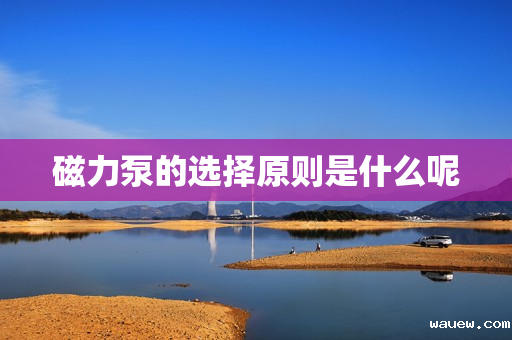 磁力泵的选择原则是什么呢