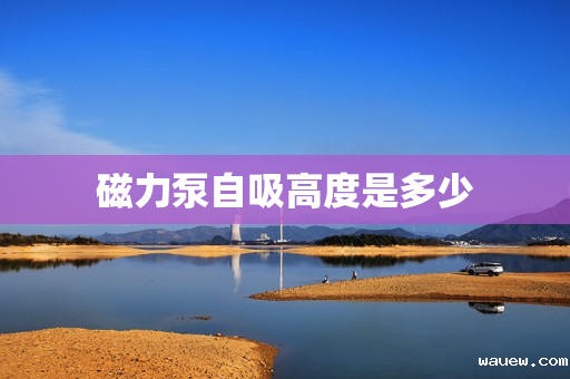 磁力泵自吸高度是多少