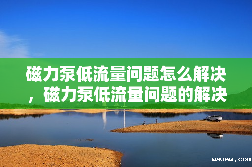 磁力泵低流量问题怎么解决，磁力泵低流量问题的解决方案