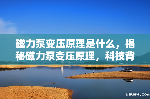 磁力泵变压原理是什么，揭秘磁力泵变压原理，科技背后的力量转换机制