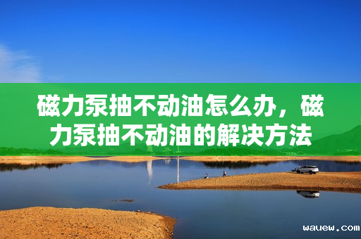 磁力泵抽不动油怎么办，磁力泵抽不动油的解决方法