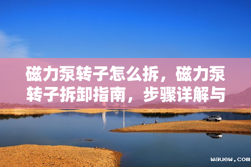 磁力泵转子怎么拆，磁力泵转子拆卸指南，步骤详解与注意事项