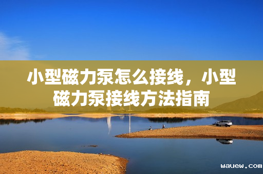 小型磁力泵怎么接线，小型磁力泵接线方法指南