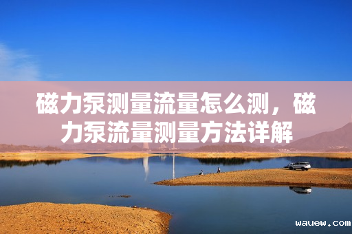 磁力泵测量流量怎么测，磁力泵流量测量方法详解