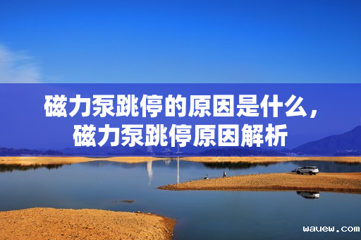 磁力泵跳停的原因是什么，磁力泵跳停原因解析