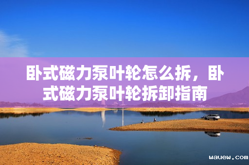 卧式磁力泵叶轮怎么拆，卧式磁力泵叶轮拆卸指南