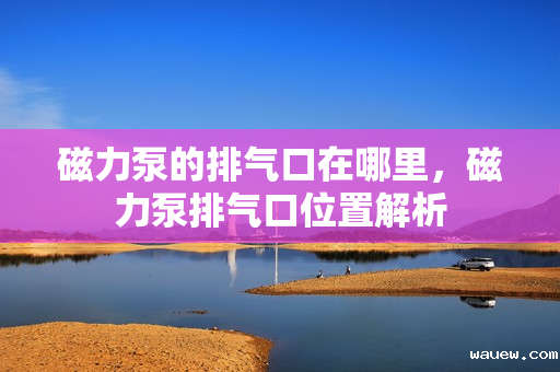 磁力泵的排气口在哪里，磁力泵排气口位置解析