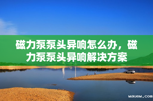 磁力泵泵头异响怎么办，磁力泵泵头异响解决方案