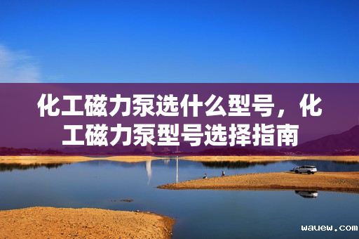 化工磁力泵选什么型号，化工磁力泵型号选择指南
