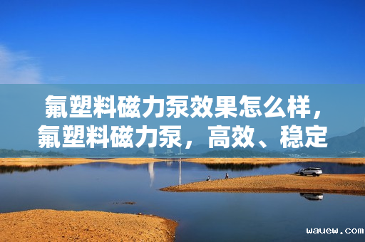 氟塑料磁力泵效果怎么样，氟塑料磁力泵，高效、稳定的流体输送解决方案