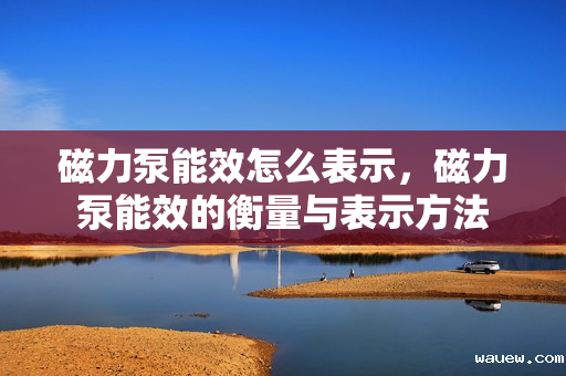 磁力泵能效怎么表示，磁力泵能效的衡量与表示方法