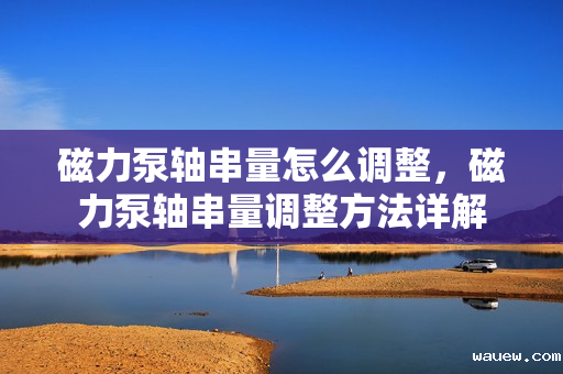 磁力泵轴串量怎么调整，磁力泵轴串量调整方法详解