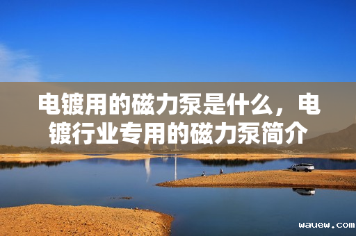 电镀用的磁力泵是什么，电镀行业专用的磁力泵简介