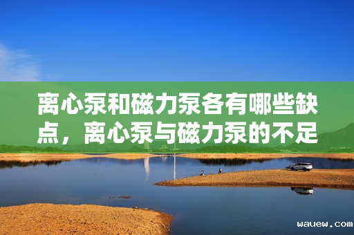 离心泵和磁力泵各有哪些缺点，离心泵与磁力泵的不足之处对比