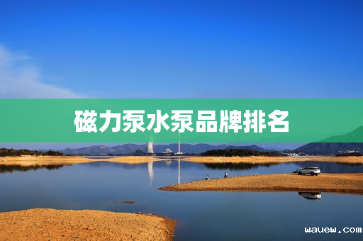 磁力泵水泵品牌排名