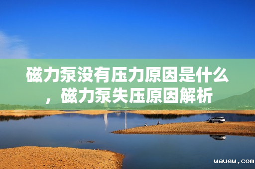 磁力泵没有压力原因是什么，磁力泵失压原因解析