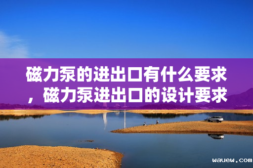 磁力泵的进出口有什么要求，磁力泵进出口的设计要求与规范