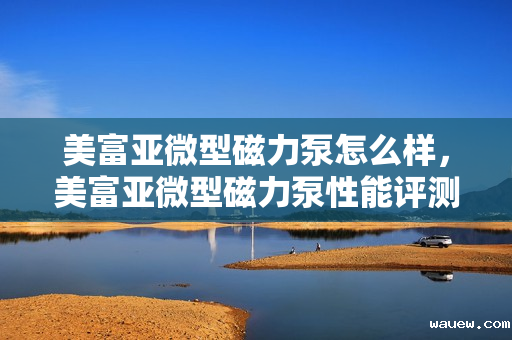 美富亚微型磁力泵怎么样，美富亚微型磁力泵性能评测及用户反馈