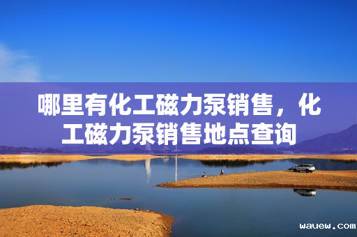 哪里有化工磁力泵销售，化工磁力泵销售地点查询