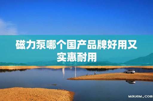 磁力泵哪个国产品牌好用又实惠耐用