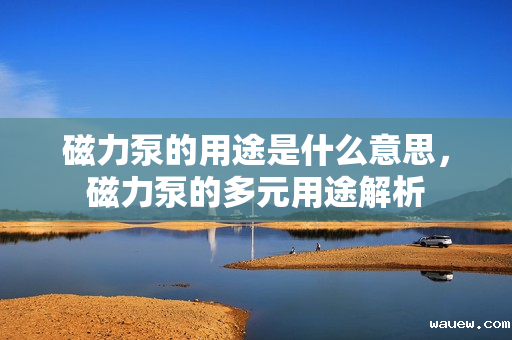 磁力泵的用途是什么意思，磁力泵的多元用途解析