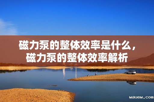 磁力泵的整体效率是什么，磁力泵的整体效率解析