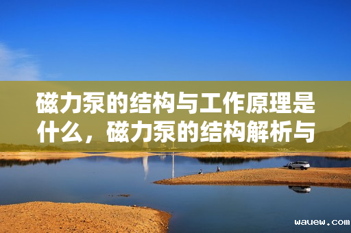 磁力泵的结构与工作原理是什么，磁力泵的结构解析与工作原理详解