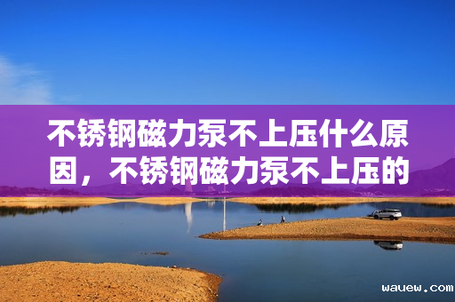 不锈钢磁力泵不上压什么原因，不锈钢磁力泵不上压的原因解析