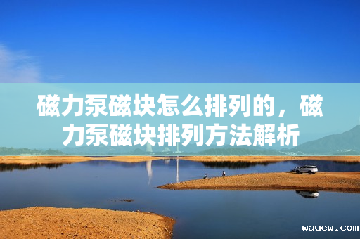 磁力泵磁块怎么排列的，磁力泵磁块排列方法解析