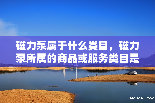 磁力泵属于什么类目，磁力泵所属的商品或服务类目是什么？