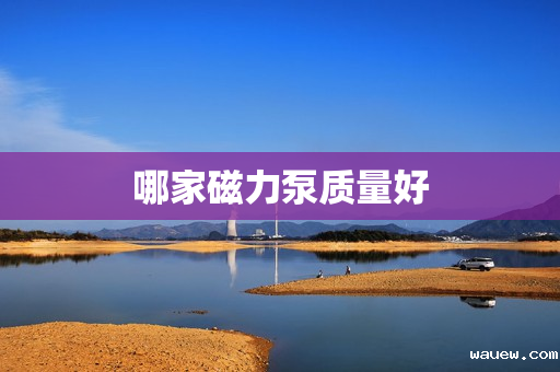 哪家磁力泵质量好