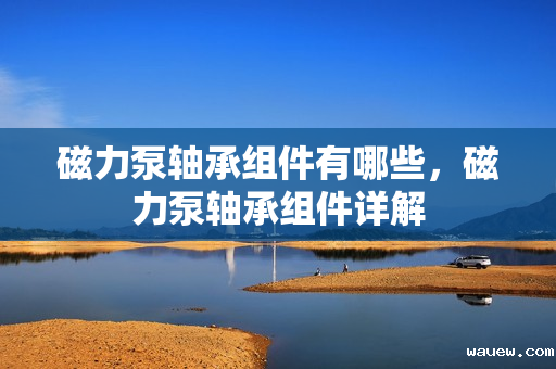 磁力泵轴承组件有哪些，磁力泵轴承组件详解